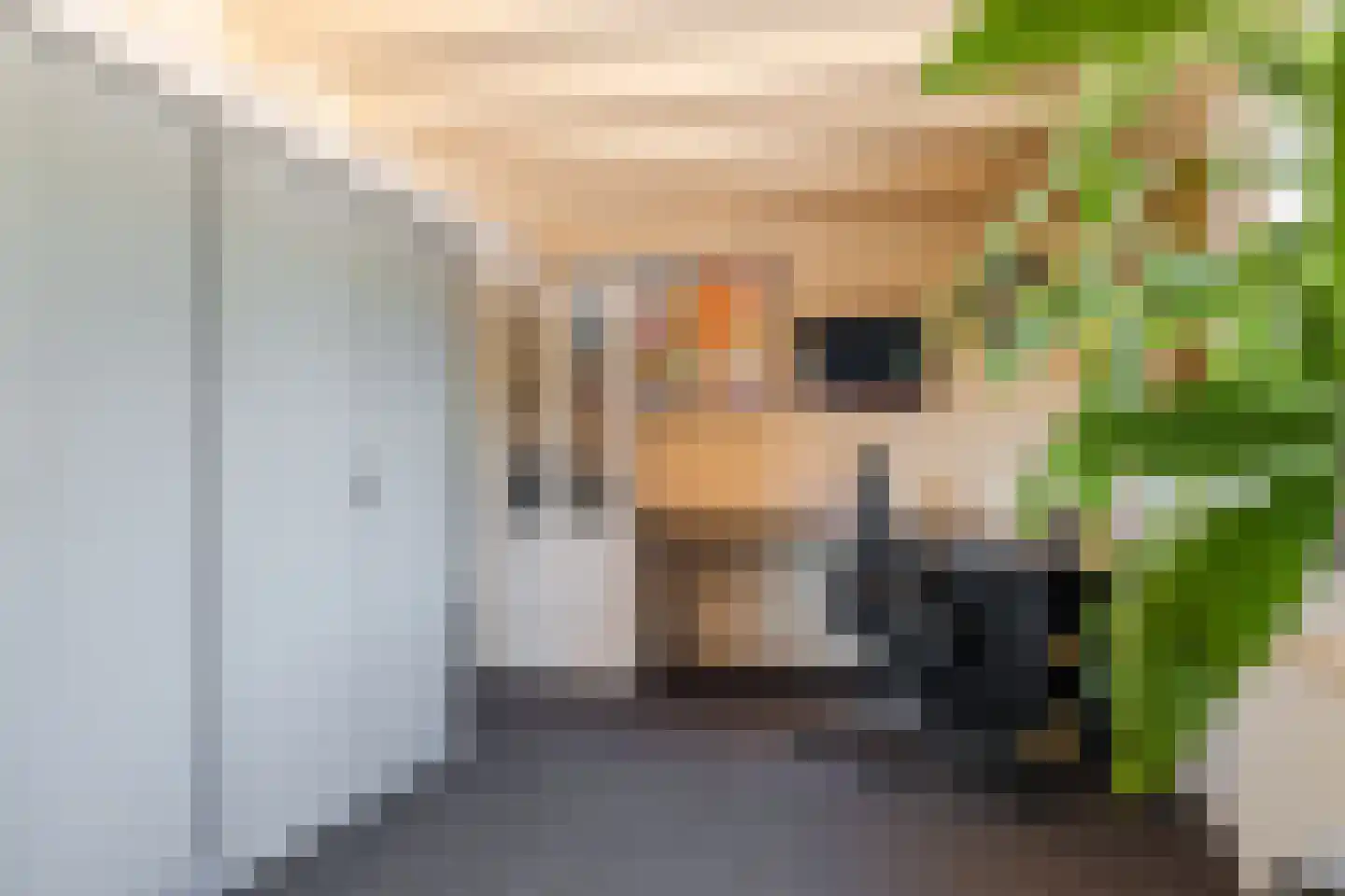 Stegerensallee 44 Dedemsvaart thumbnail 26