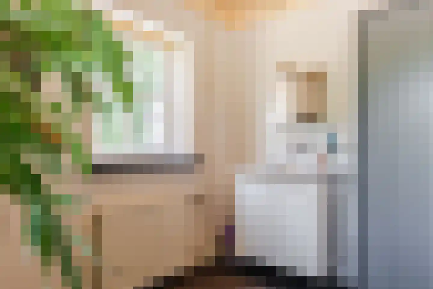 Stegerensallee 44 Dedemsvaart thumbnail 28