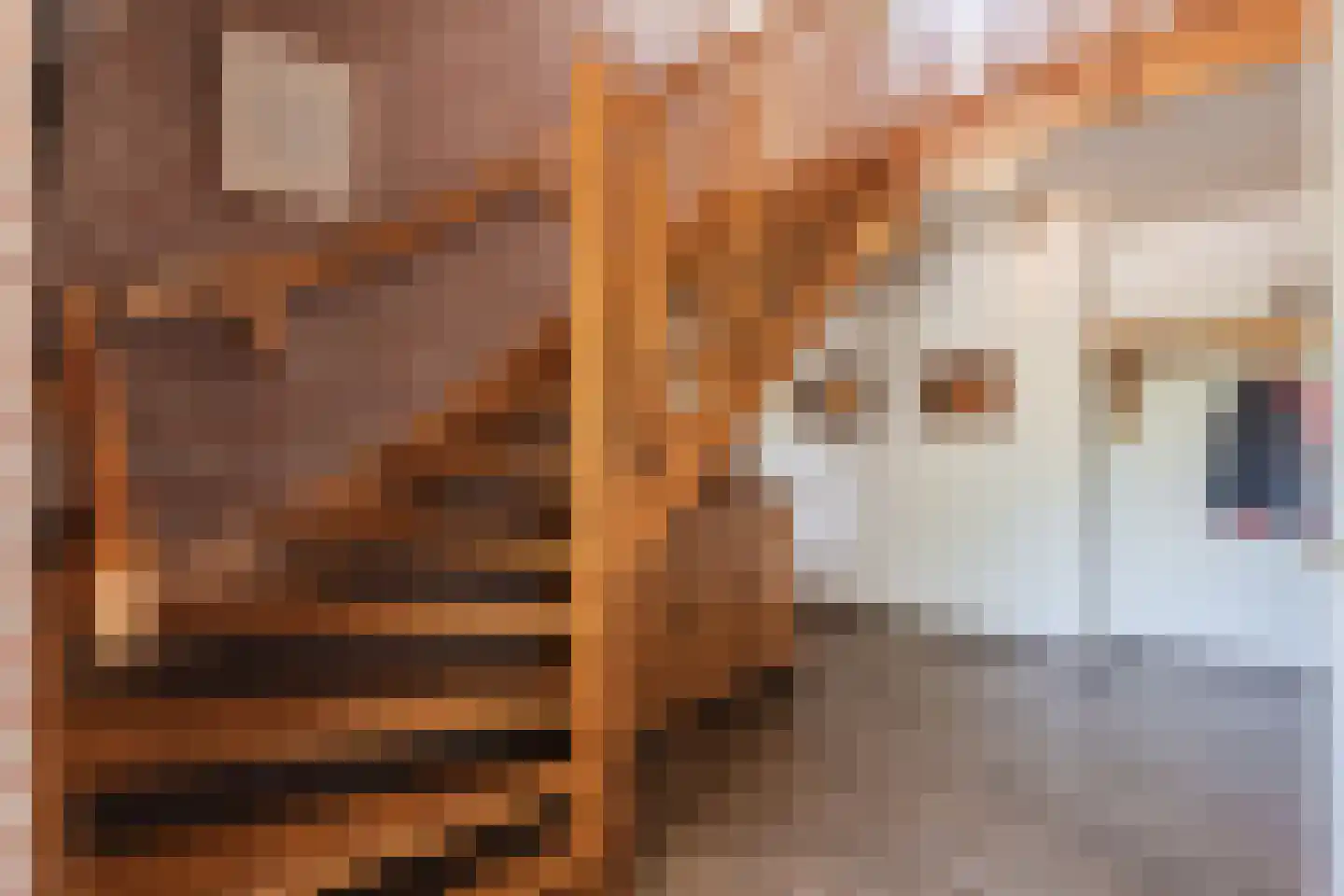Stegerensallee 44 Dedemsvaart thumbnail 29