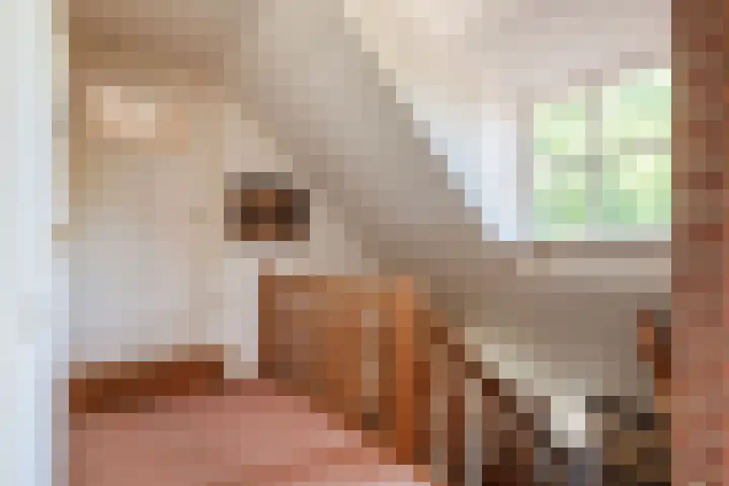 Stegerensallee 44 Dedemsvaart thumbnail 31