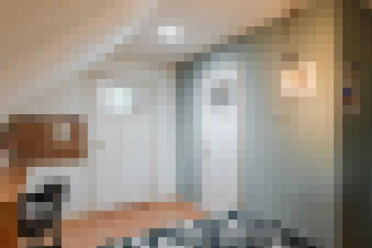 Stegerensallee 44 Dedemsvaart thumbnail 33