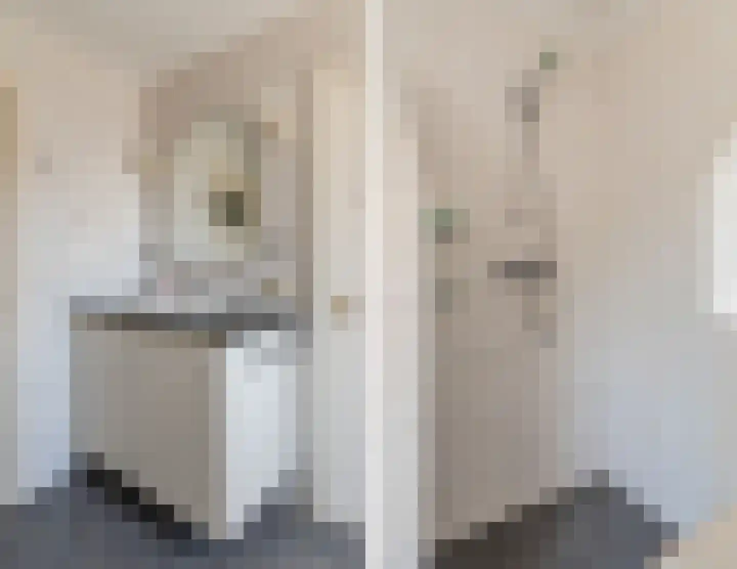 Stegerensallee 44 Dedemsvaart thumbnail 36