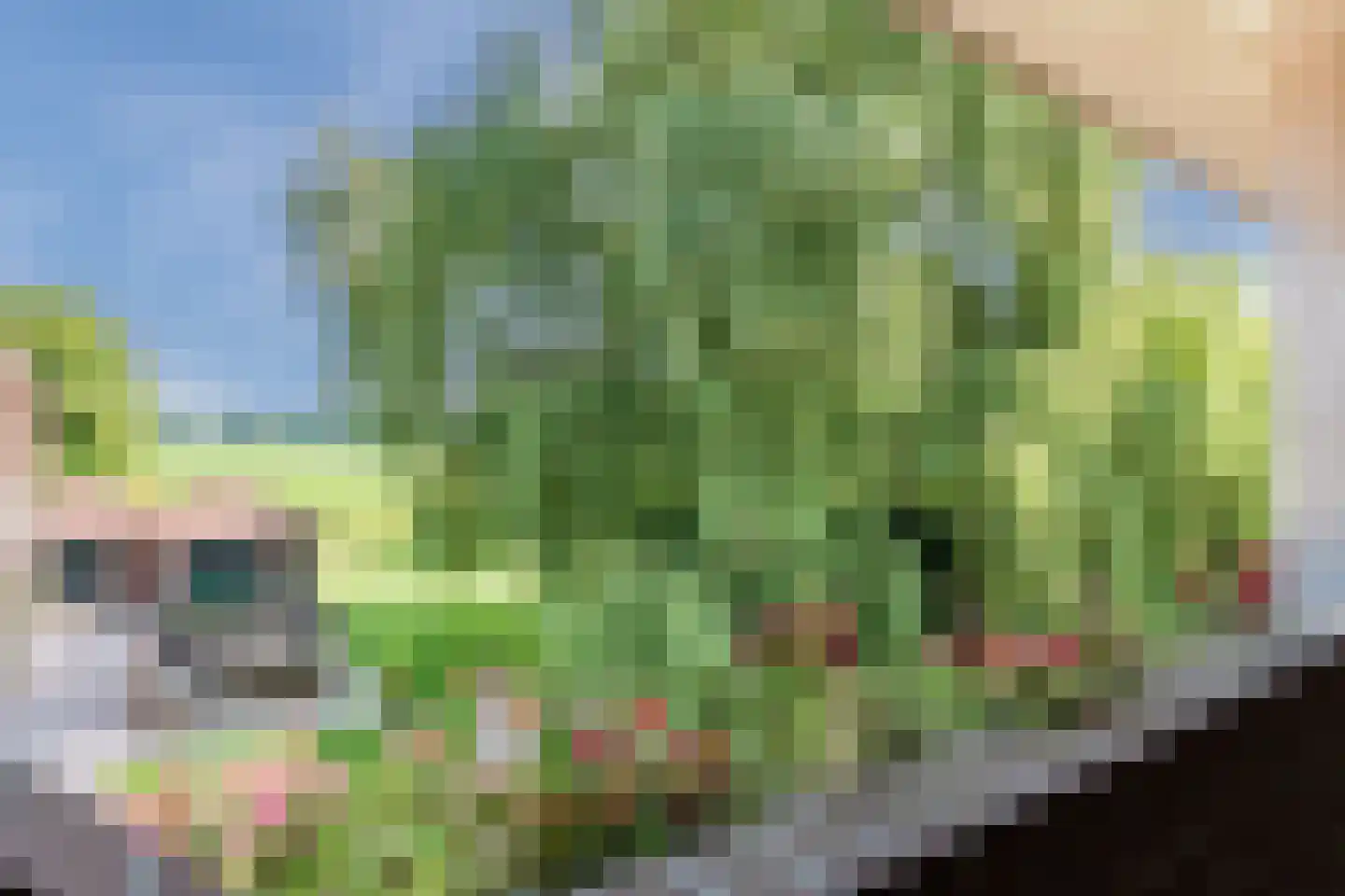 Stegerensallee 44 Dedemsvaart thumbnail 40
