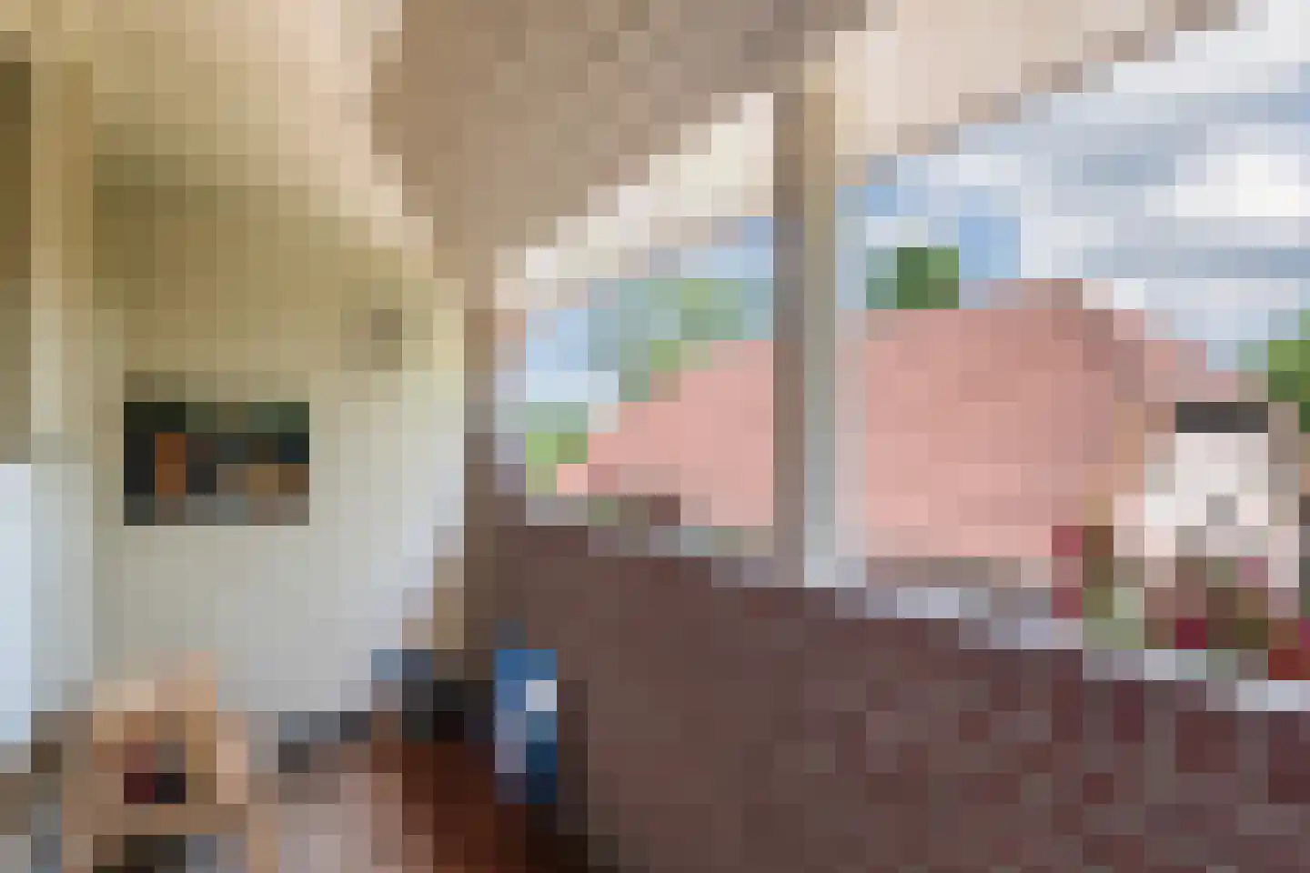 Stegerensallee 44 Dedemsvaart thumbnail 41