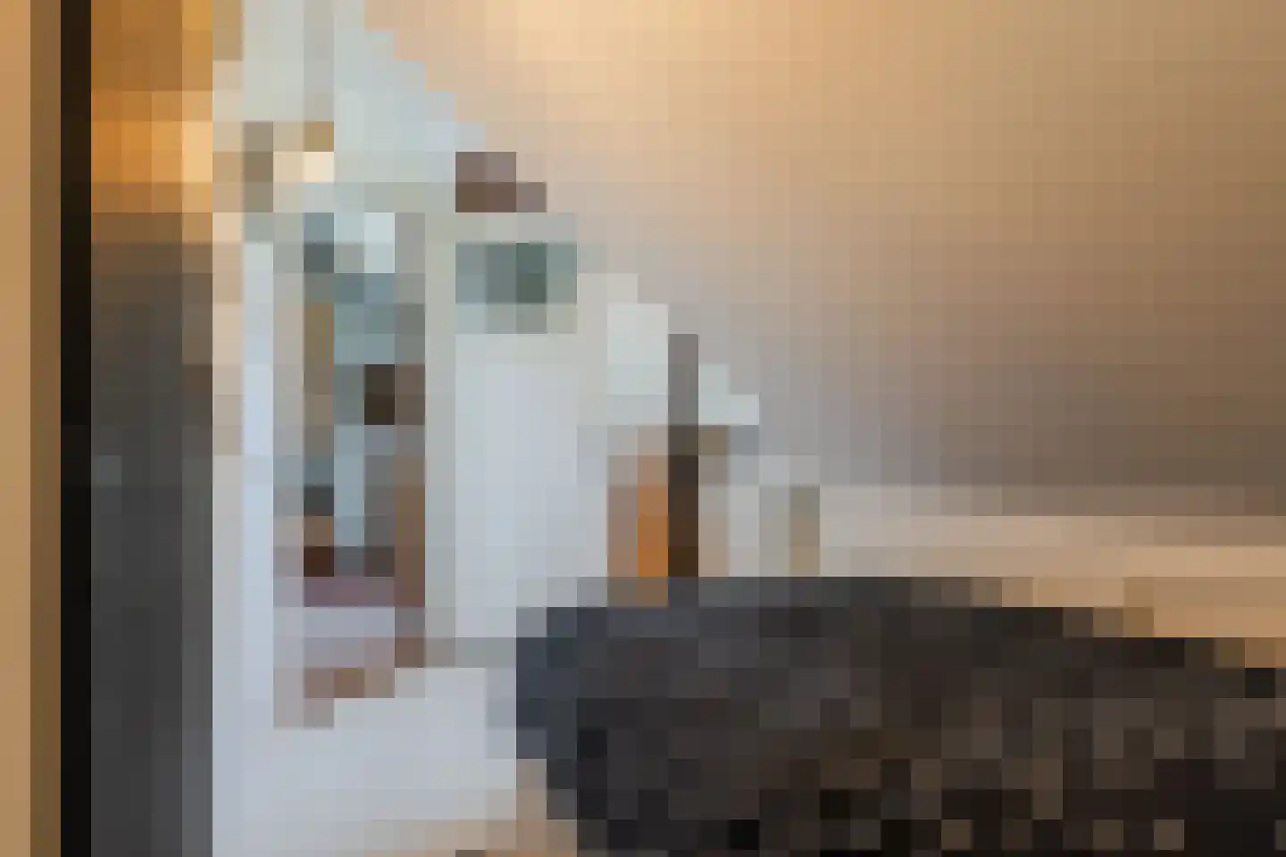 Stegerensallee 44 Dedemsvaart thumbnail 43