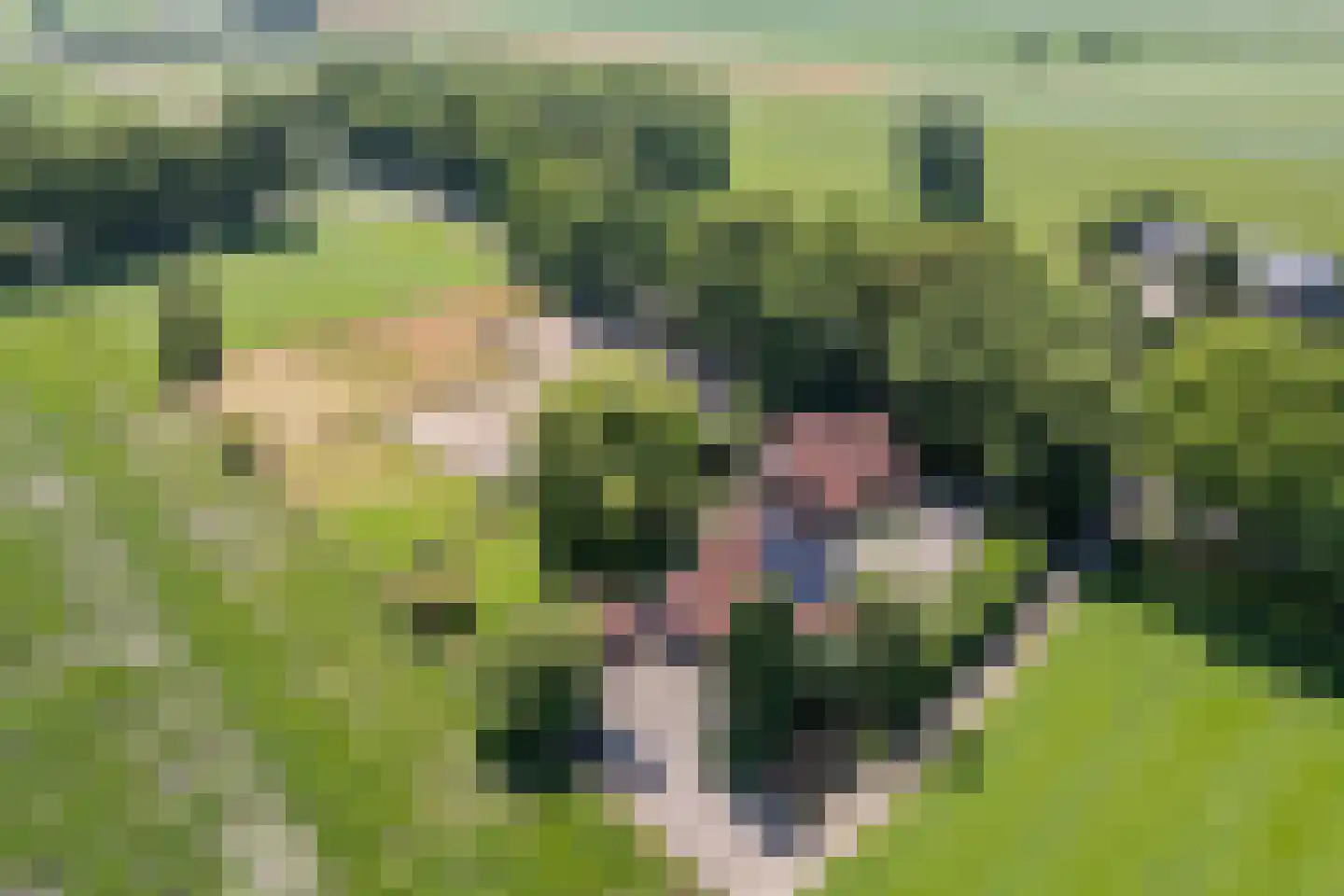Stegerensallee 44 Dedemsvaart thumbnail 45