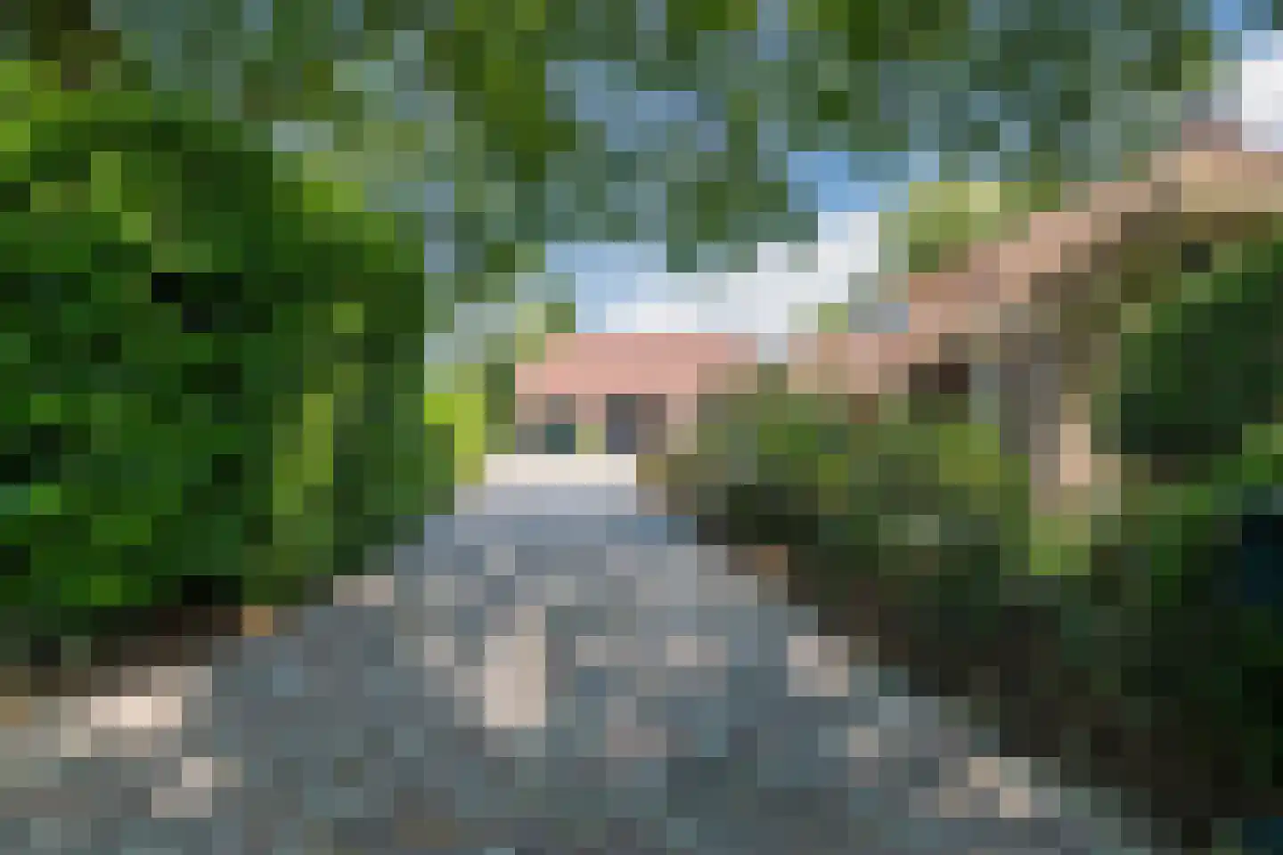 Stegerensallee 44 Dedemsvaart thumbnail 46