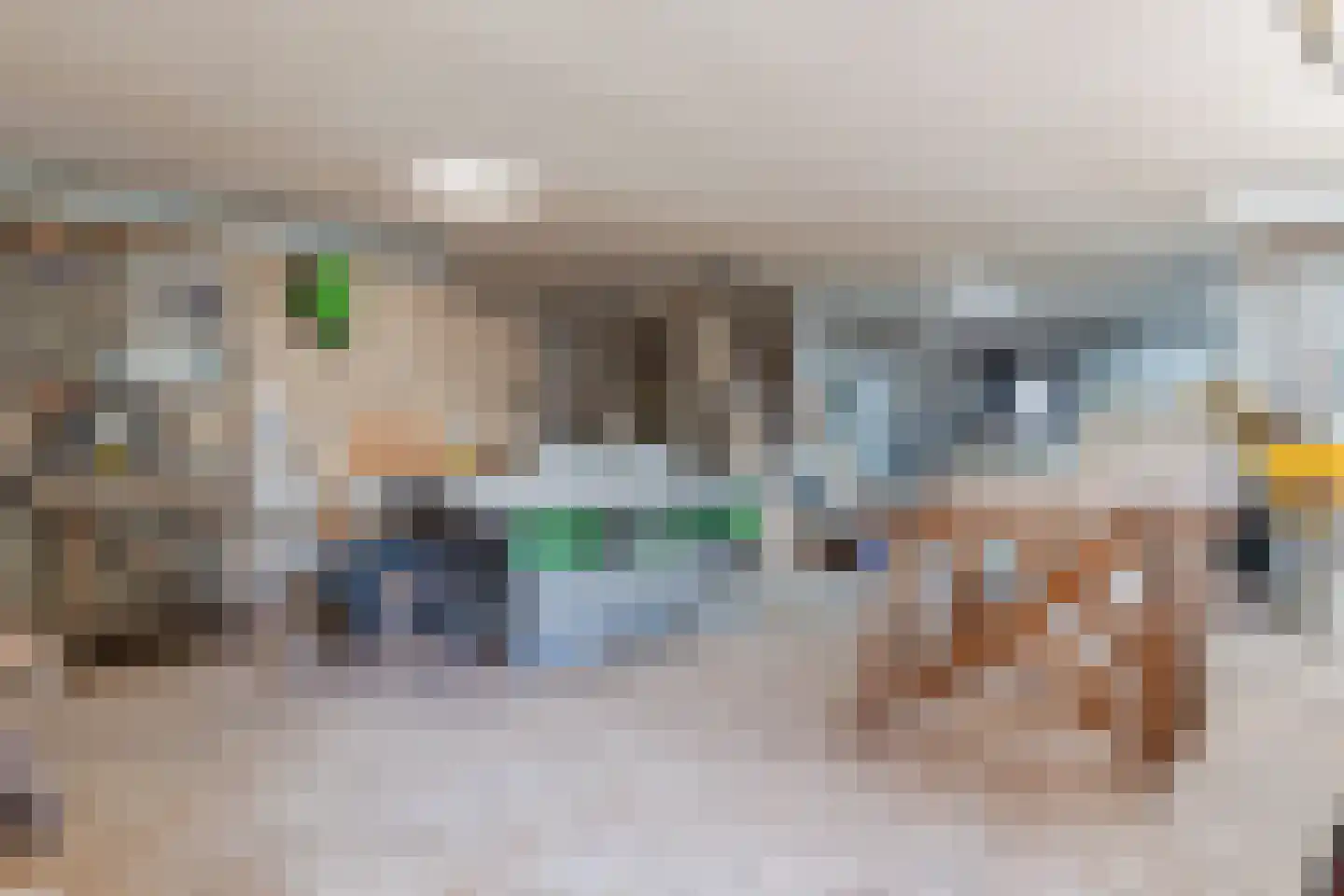 Stegerensallee 44 Dedemsvaart thumbnail 49