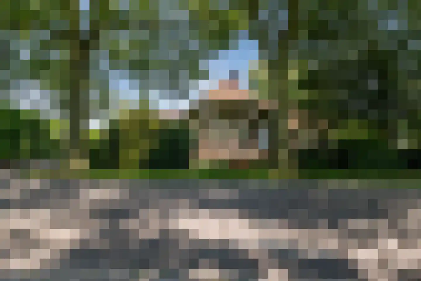 Stegerensallee 44 Dedemsvaart thumbnail 5