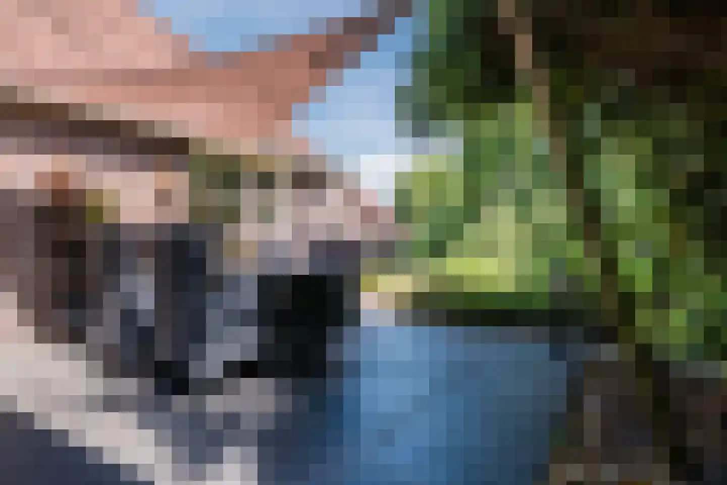 Stegerensallee 44 Dedemsvaart thumbnail 53