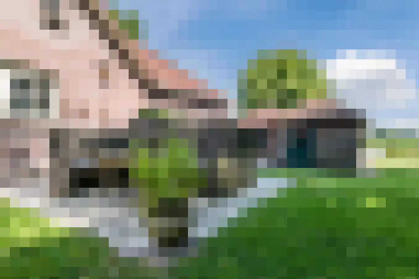 Stegerensallee 44 Dedemsvaart thumbnail 55