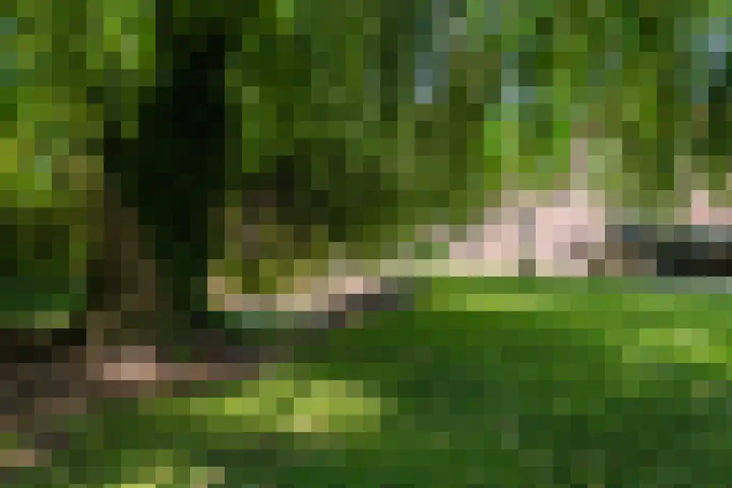 Stegerensallee 44 Dedemsvaart thumbnail 59
