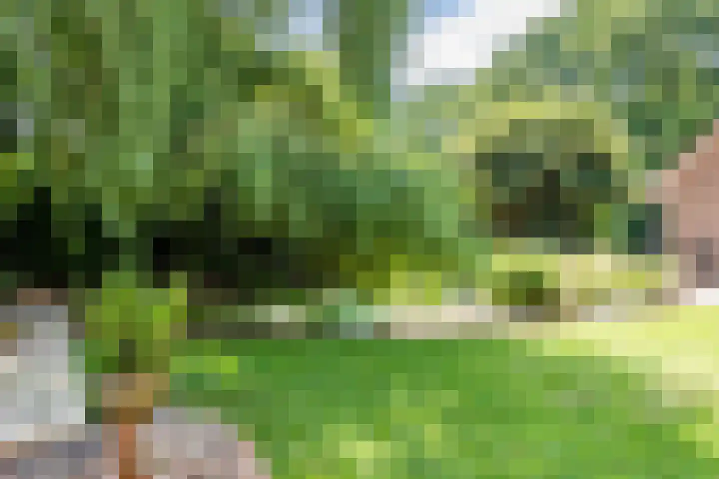 Stegerensallee 44 Dedemsvaart thumbnail 60