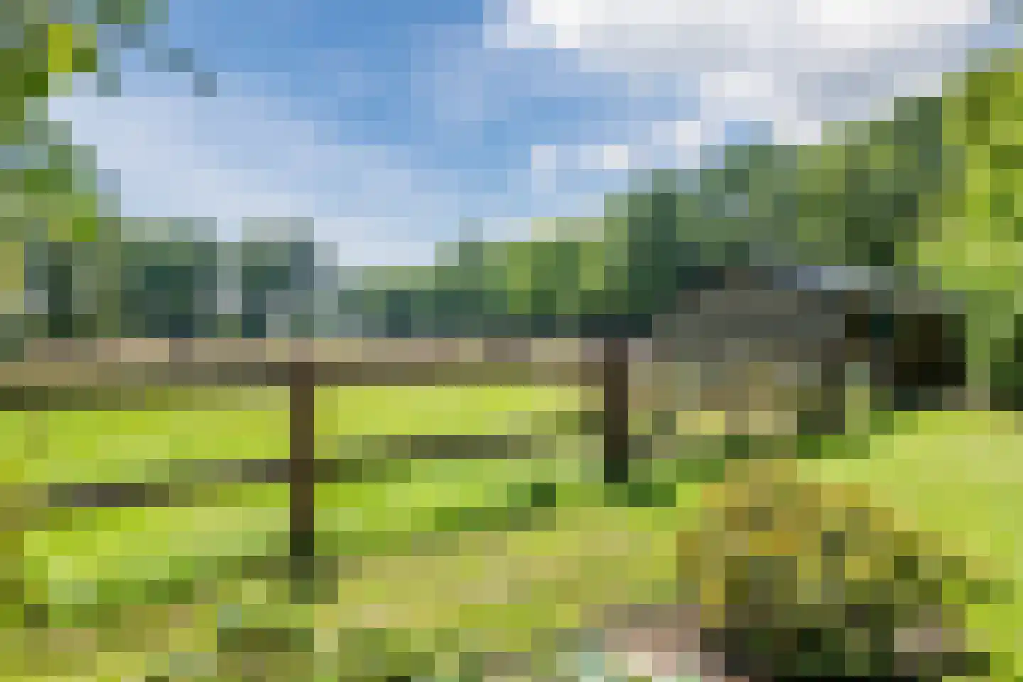 Stegerensallee 44 Dedemsvaart thumbnail 61
