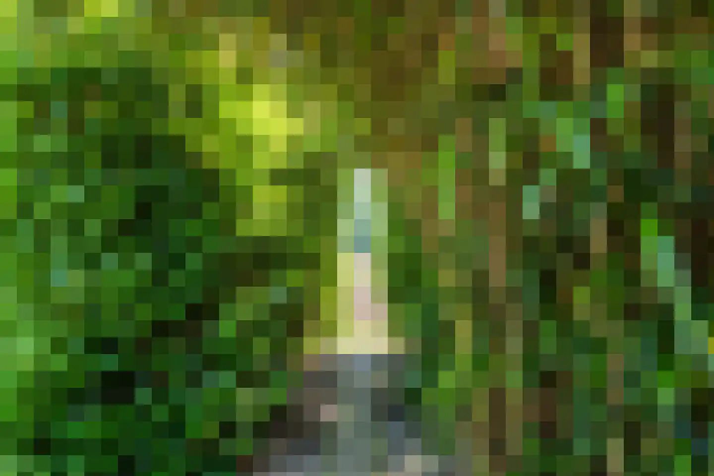 Stegerensallee 44 Dedemsvaart thumbnail 64