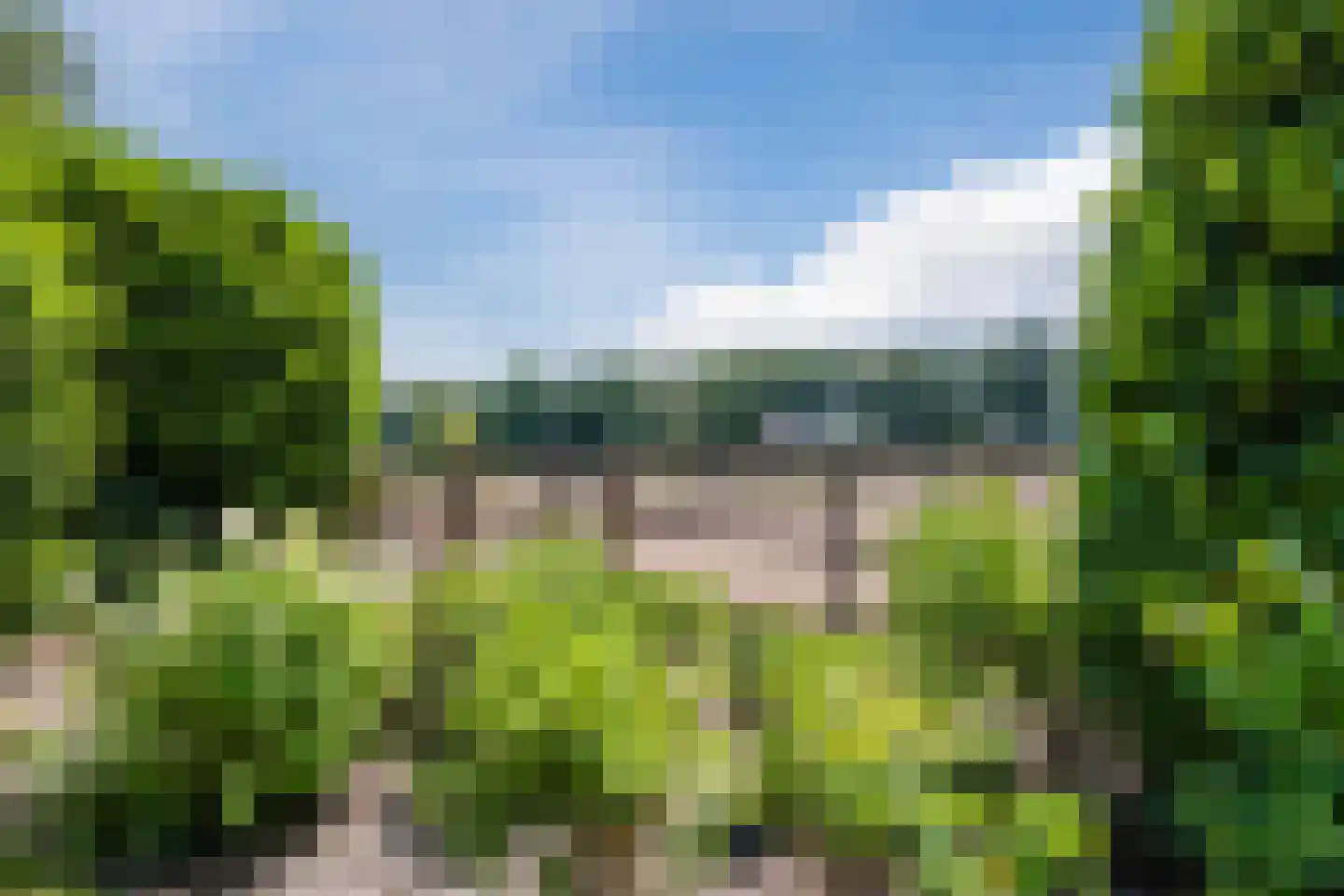 Stegerensallee 44 Dedemsvaart thumbnail 65