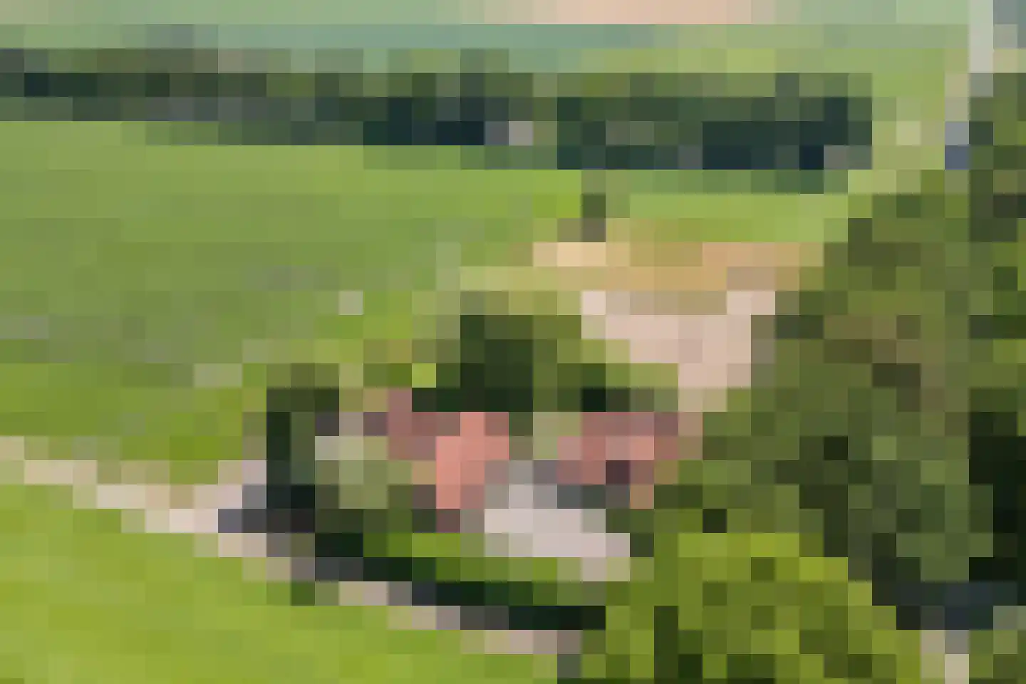 Stegerensallee 44 Dedemsvaart thumbnail 67
