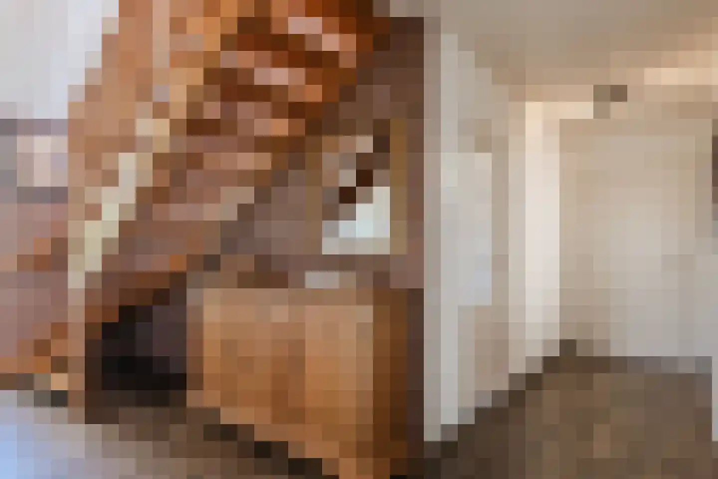 Stegerensallee 44 Dedemsvaart thumbnail 8