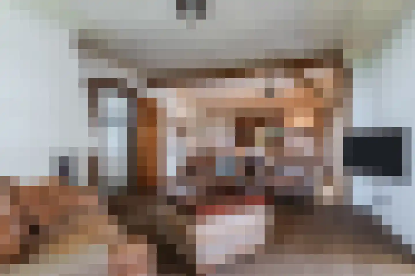 Stegerensallee 44 Dedemsvaart thumbnail 9