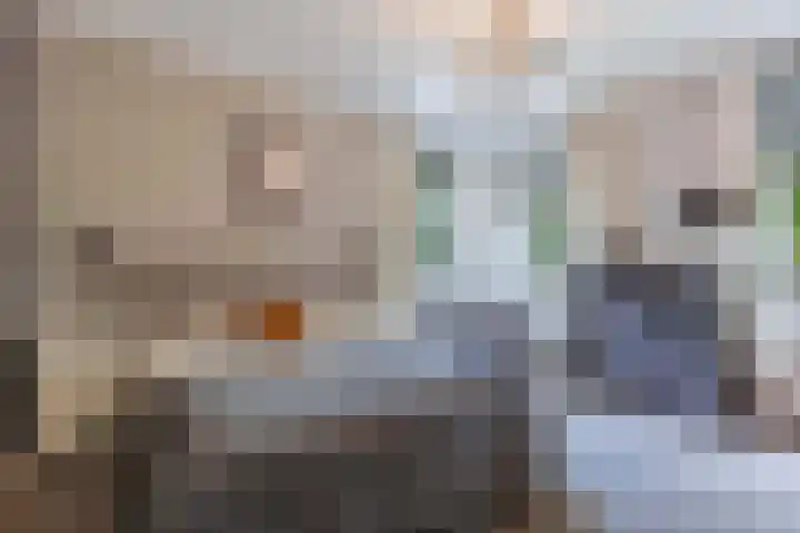 Steggerdaweg 114 Steggerda thumbnail 23