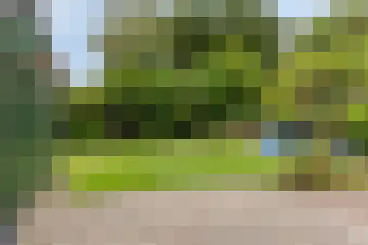 Stegingaweg 13 Oosterwolde thumbnail 29