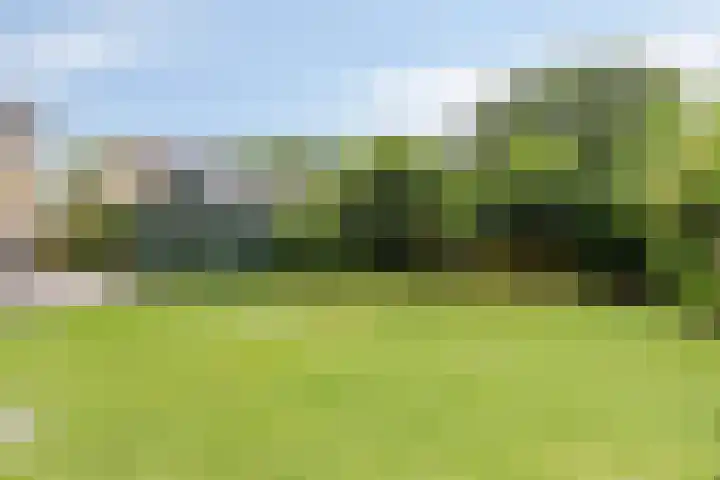 Stegingaweg 13 Oosterwolde thumbnail 31