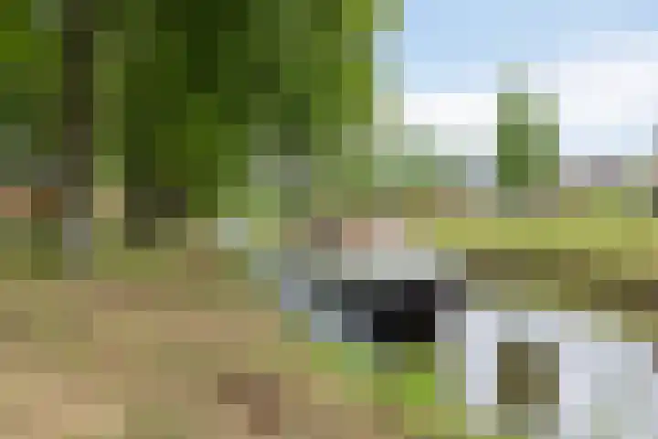 Stegingaweg 13 Oosterwolde thumbnail 33