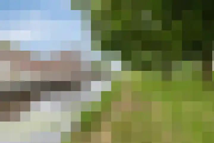 Stegingaweg 13 Oosterwolde thumbnail 34