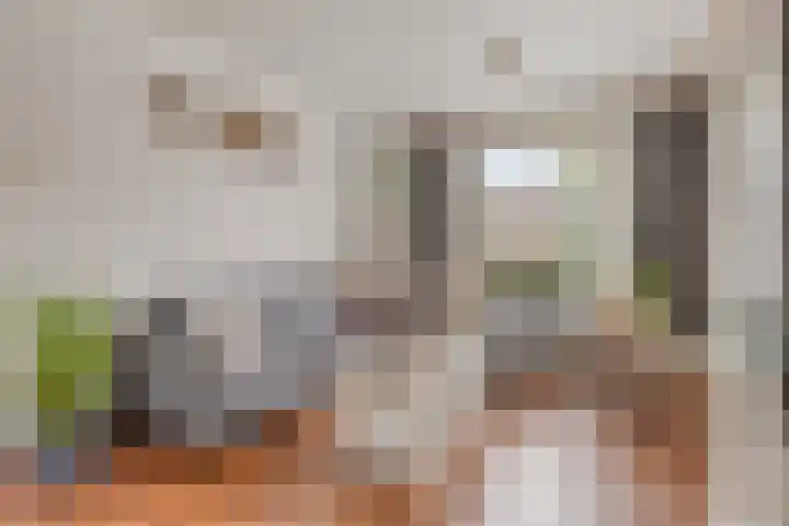 Stegingaweg 13 Oosterwolde thumbnail 6
