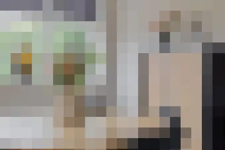Stegingaweg 24 Oosterwolde thumbnail 19