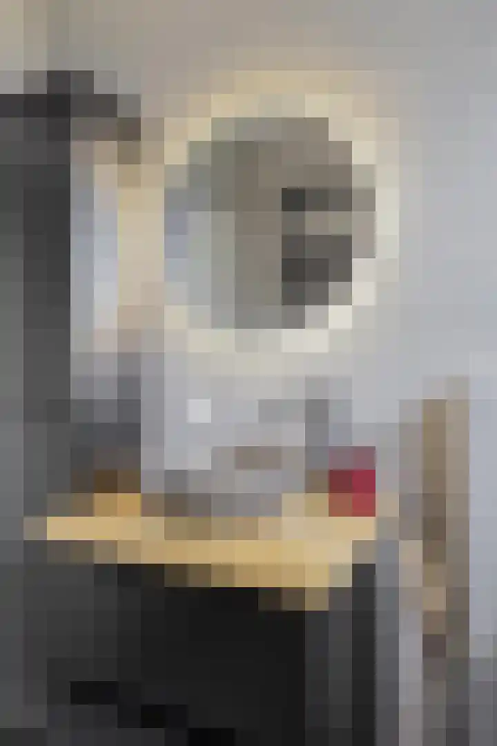 Stegingaweg 24 Oosterwolde thumbnail 30