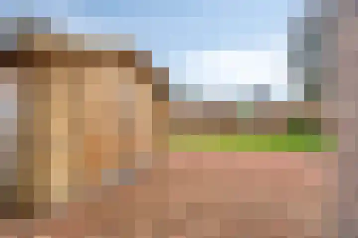 Stegingaweg 24 Oosterwolde thumbnail 36