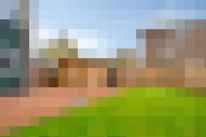 Stegingaweg 24 Oosterwolde thumbnail 39