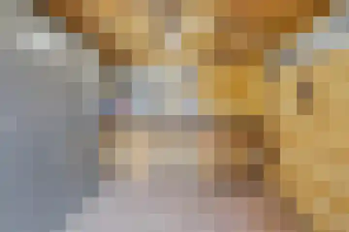 Stegingaweg 24 Oosterwolde thumbnail 40