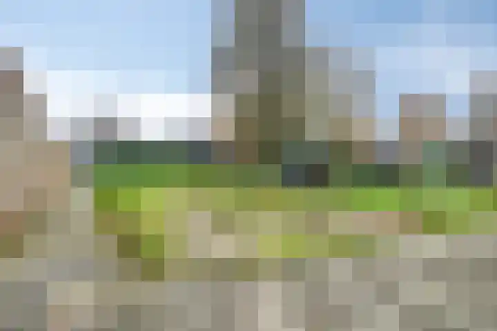 Stegingaweg 24 Oosterwolde thumbnail 42