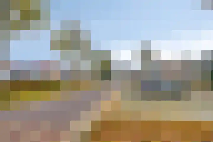 Stegingaweg 24 Oosterwolde thumbnail 43