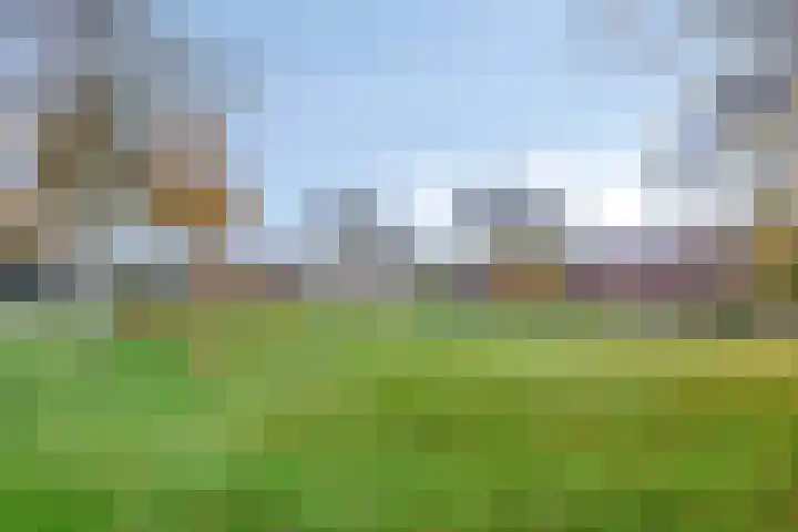 Stegingaweg 24 Oosterwolde thumbnail 44
