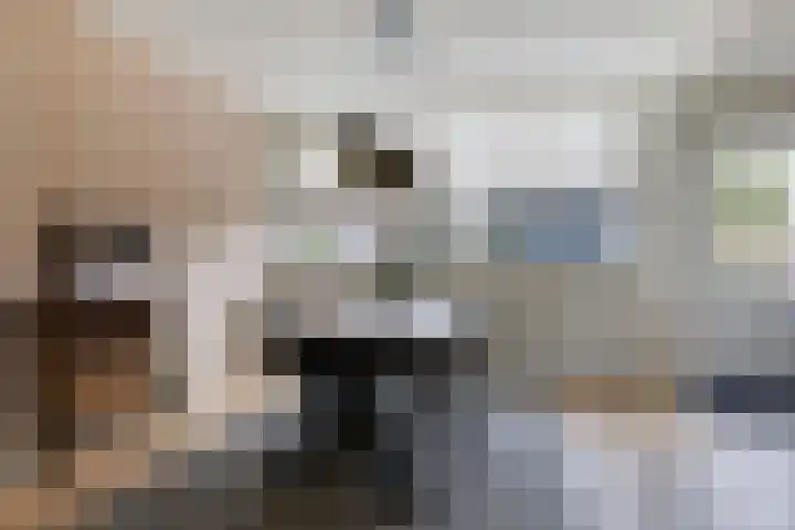 Stegingaweg 42 Oosterwolde thumbnail 17