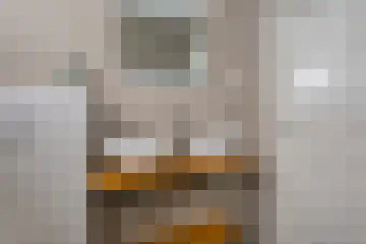 Stegingaweg 42 Oosterwolde thumbnail 26