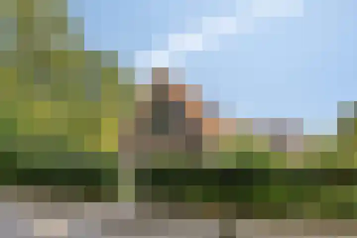 Stegingaweg 9 Oosterwolde