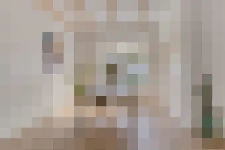 Stegingaweg 9 Oosterwolde thumbnail 13