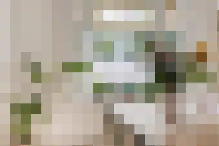 Stegingaweg 9 Oosterwolde thumbnail 15