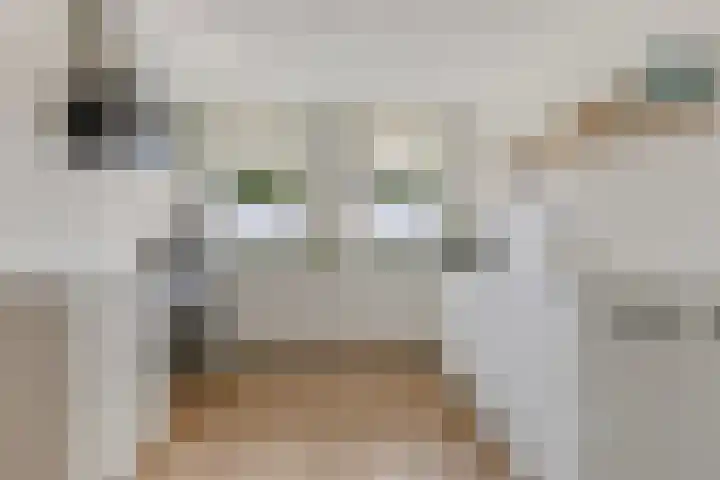 Stegingaweg 9 Oosterwolde thumbnail 17
