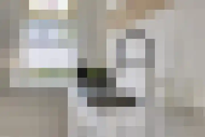 Stegingaweg 9 Oosterwolde thumbnail 18