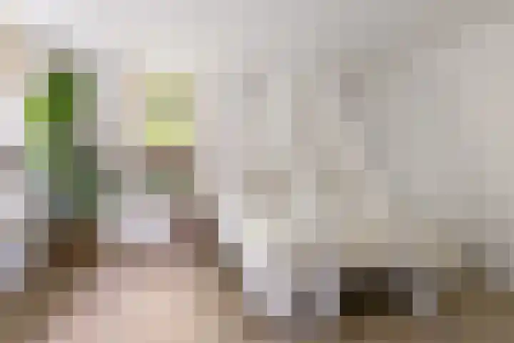 Stegingaweg 9 Oosterwolde thumbnail 21