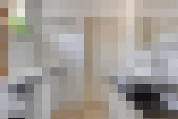Stegingaweg 9 Oosterwolde thumbnail 24