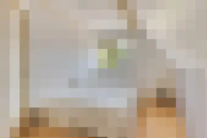 Stegingaweg 9 Oosterwolde thumbnail 34