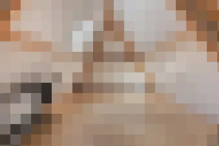 Stegingaweg 9 Oosterwolde thumbnail 35