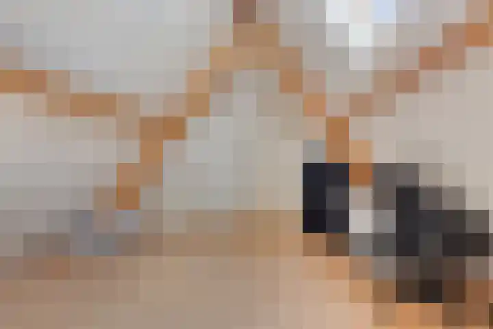 Stegingaweg 9 Oosterwolde thumbnail 36