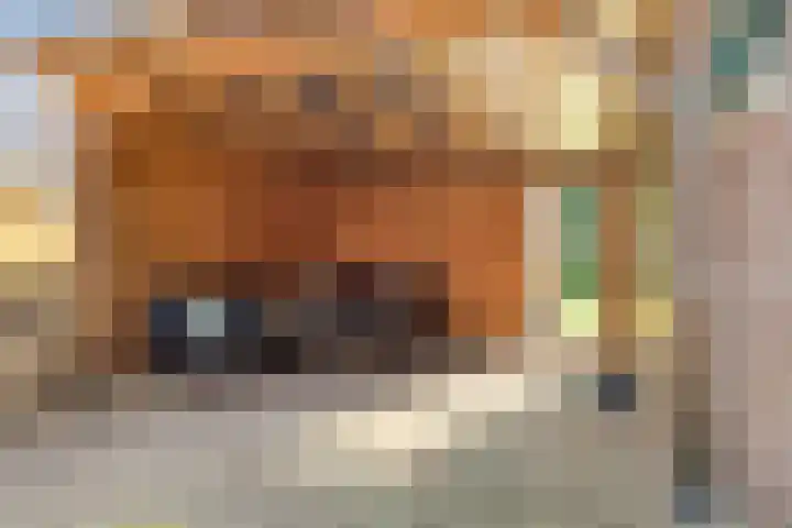 Stegingaweg 9 Oosterwolde thumbnail 38